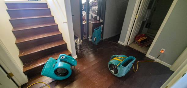 Water damage restoration experts in Wellington, FL