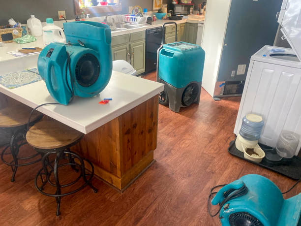 Sewage cleanup and water damage restoration in Wellington, FL