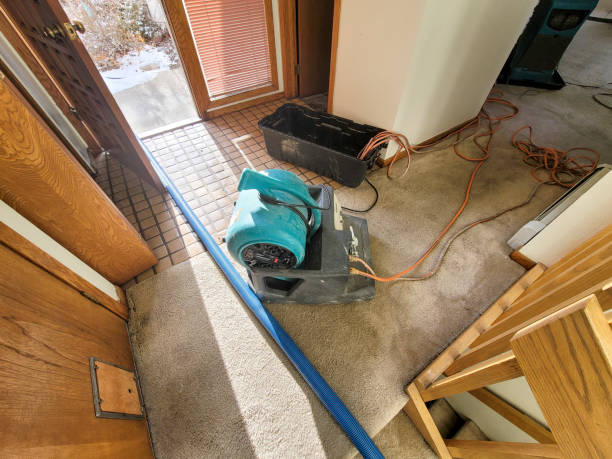 Best Water damage restoration near me  in Wellington, FL