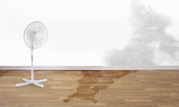 Water damage restoration experts in Wellington, FL