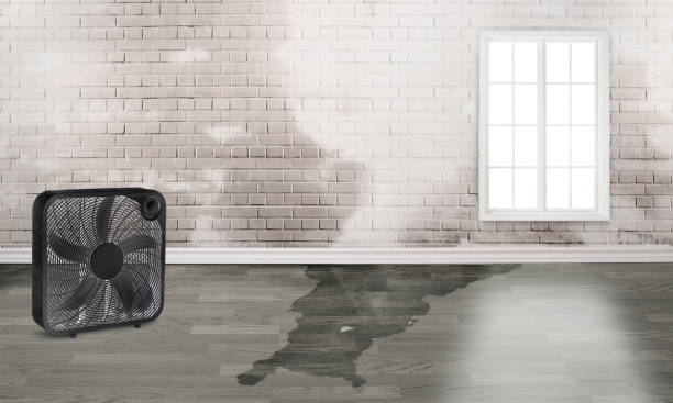 Best Commercial water damage restoration  in Wellington, FL