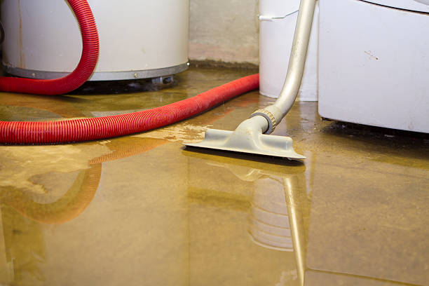 Best 24-hour water damage restoration  in Wellington, FL
