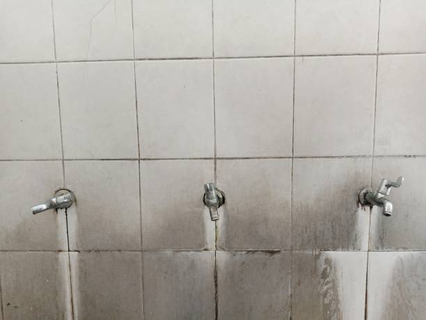 Best Water damage contractors near me  in Wellington, FL