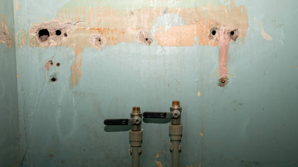 Best Sewage cleanup and water damage restoration  in Wellington, FL