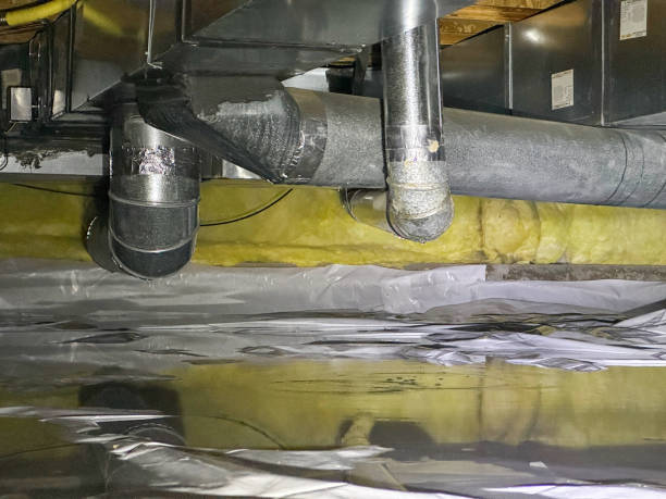 Best Basement water damage restoration  in Wellington, FL
