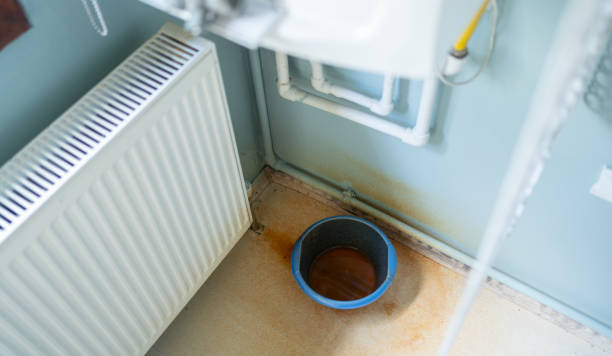 Best Flooded house restoration  in Wellington, FL