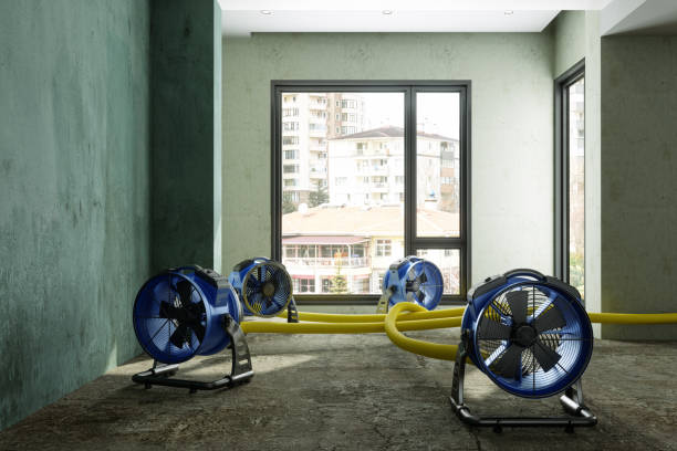 Best Water damage cleanup near me  in Wellington, FL